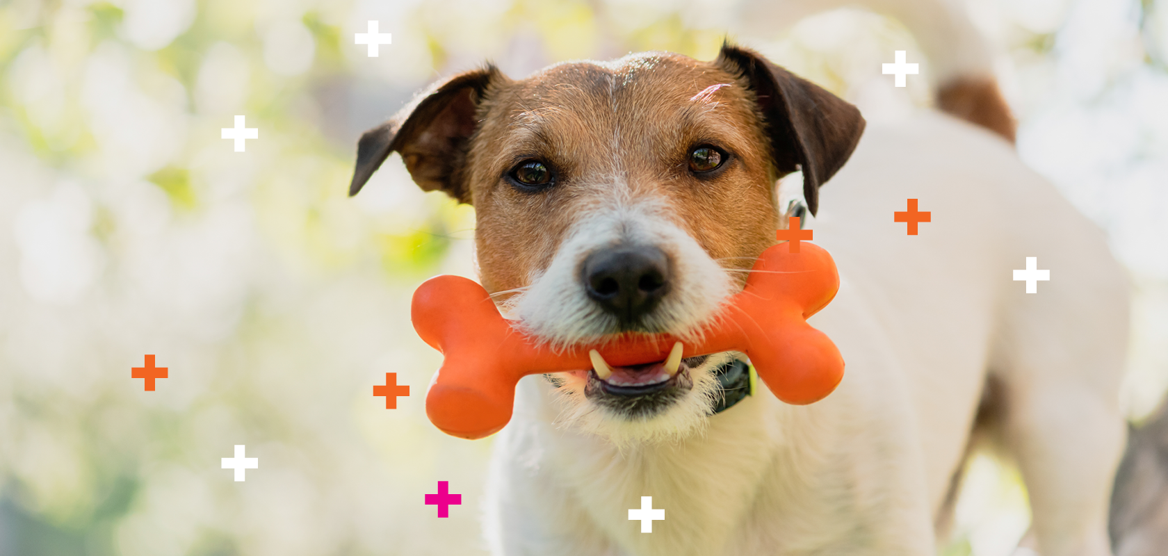 Leads 2025 Leads 2025