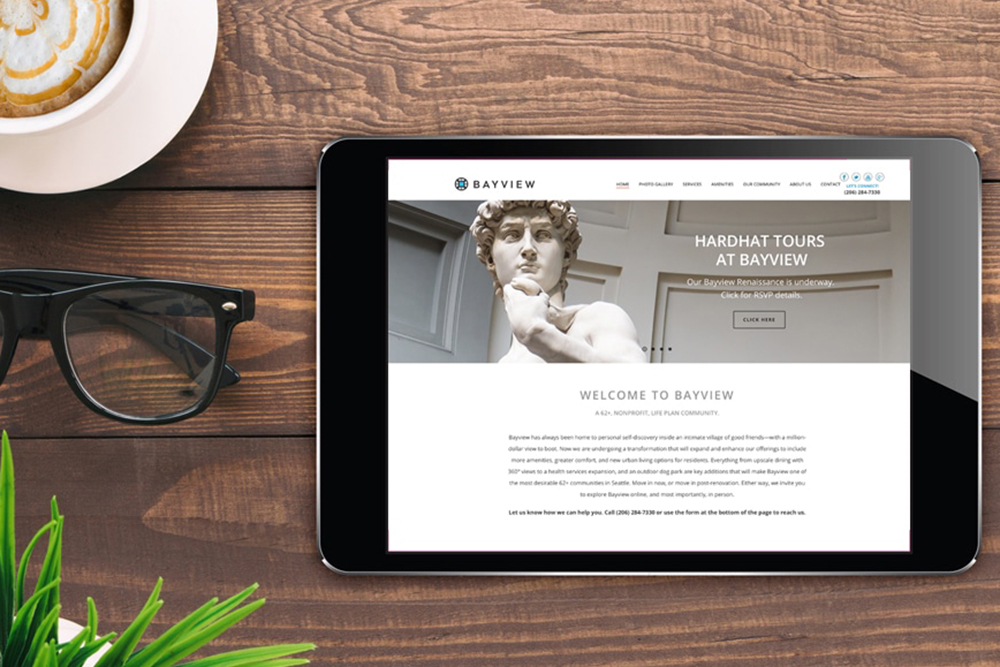Bayview David Campaign iPad