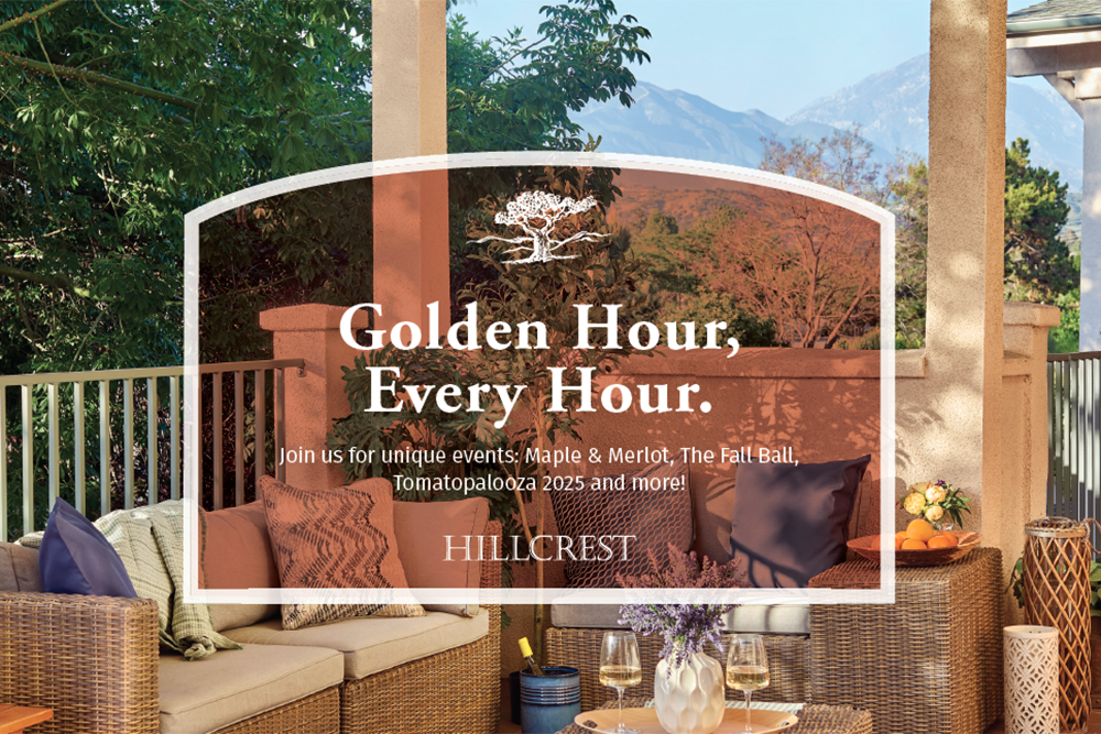 Hillcrest DM cover