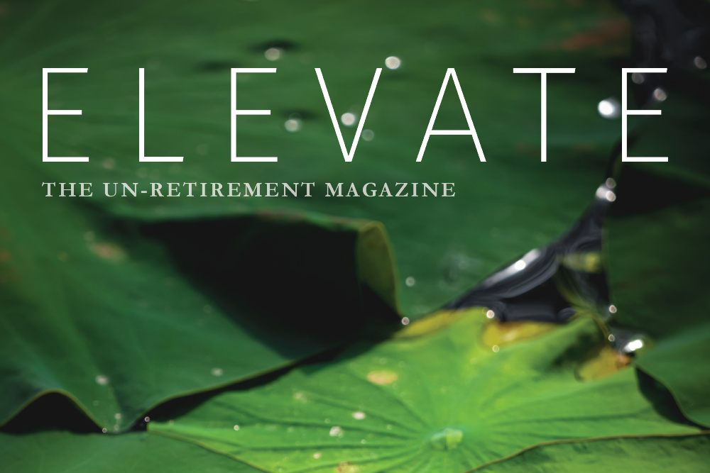 Hillcrest Elevate Magazine