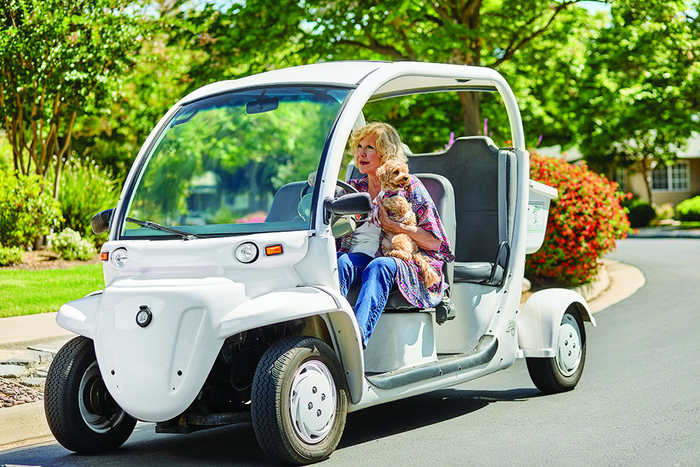 Hillcrest golf cart