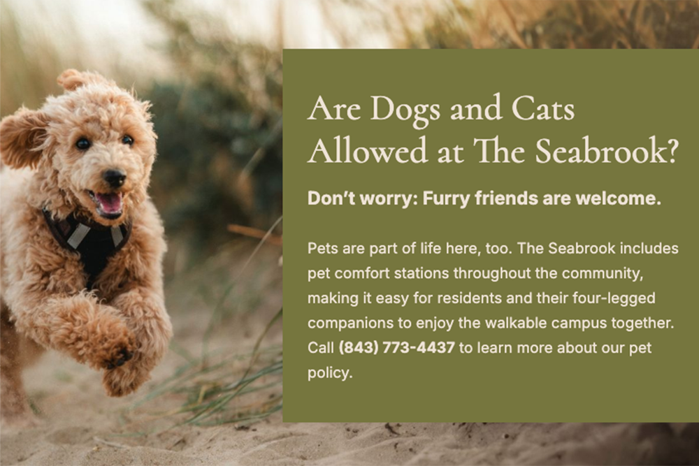 The Seabrook pets