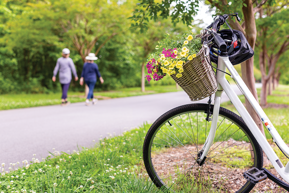 The Woodlands Swamp Rabbit Trail